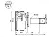 球笼修理包 CV Joint Kit:BAU4851